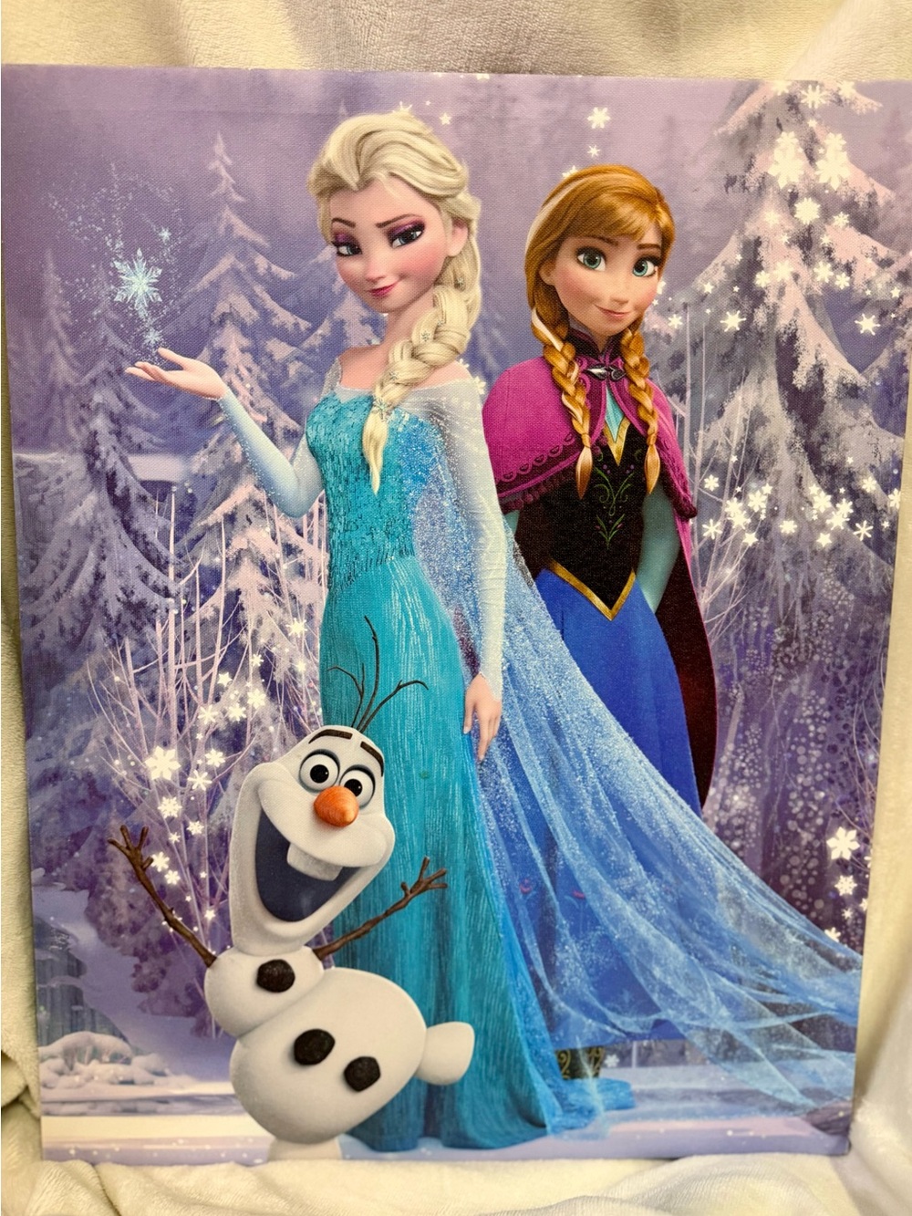 Disney Frozen Elsa & Anna Wooden Canvas Art